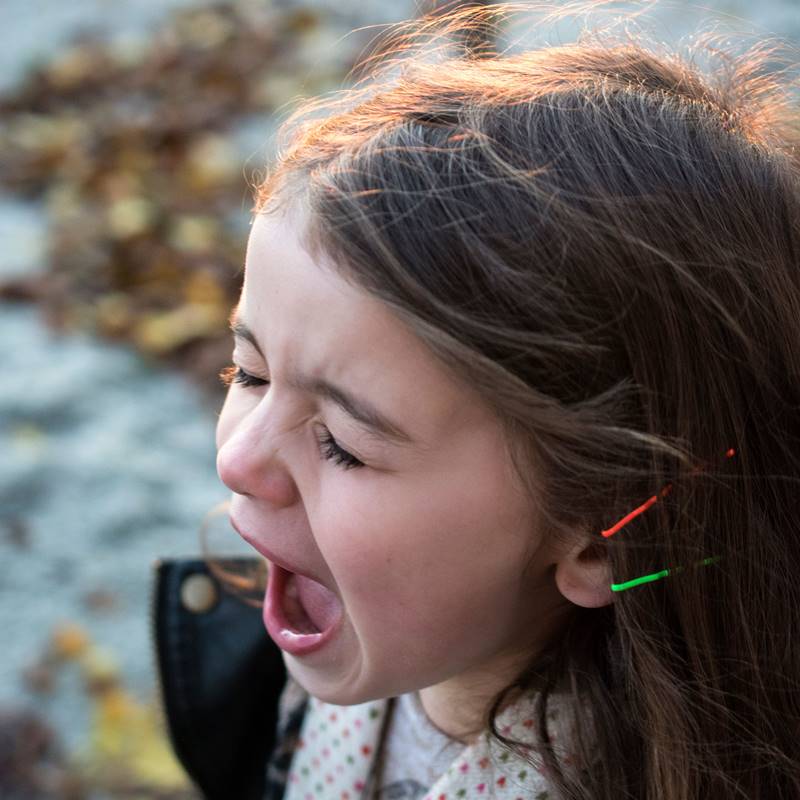 Child’s Voice in Family Mediation