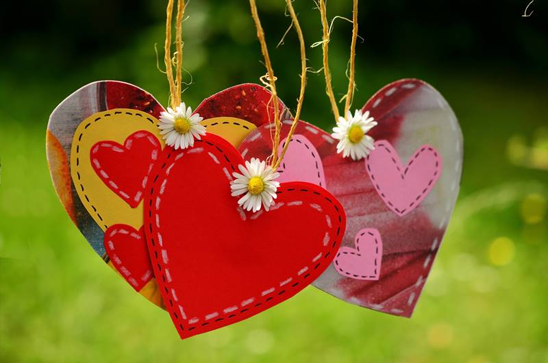 New Partners